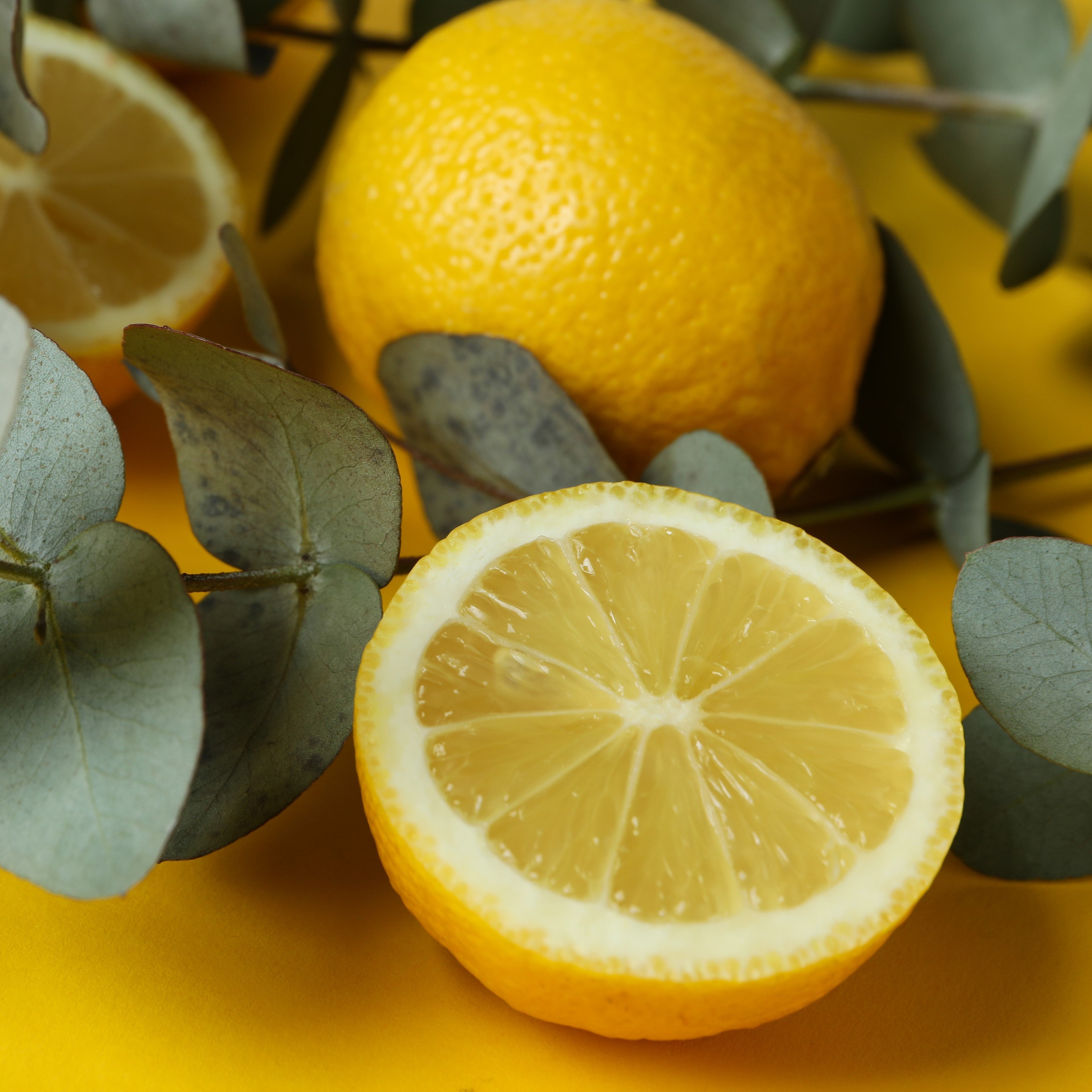 NOW Essential Oils, Lemon Eucalipto Oil, Refershing Aromatherapy