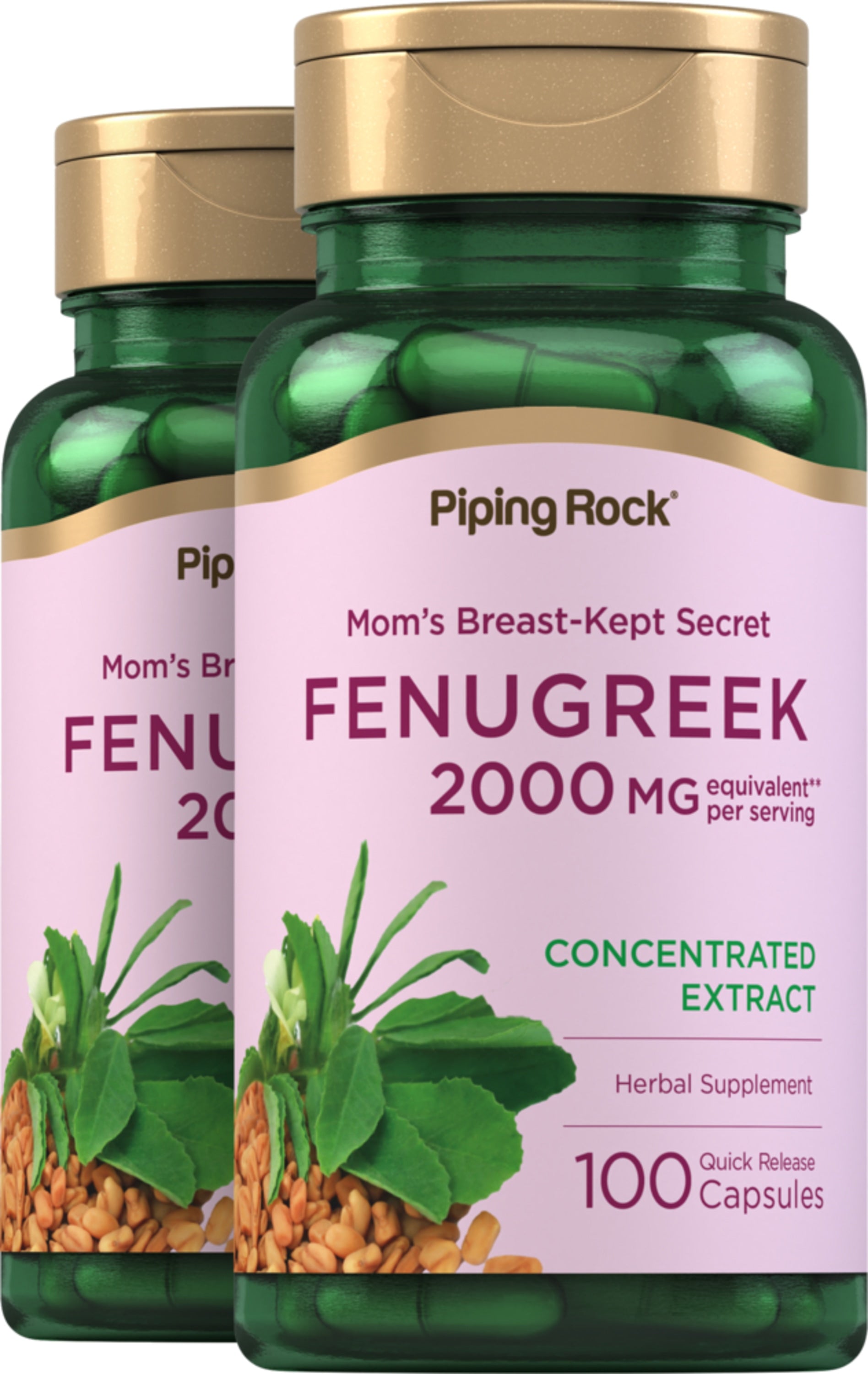 Fenouil Bio - 300 mg