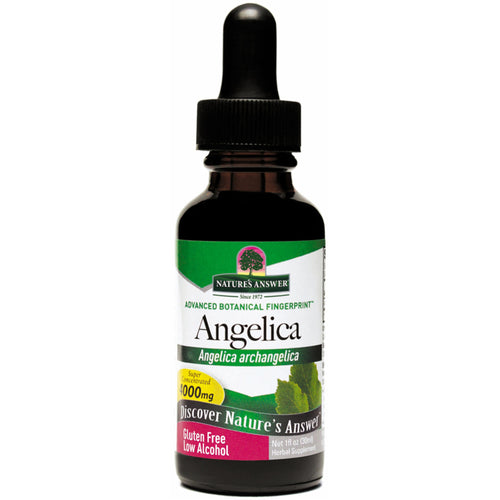 Angelica Root Liquid Extract, 1 fl oz (30 mL) Dropper Bottle