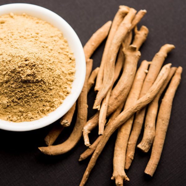Ashwagandha Uncovered: The Ultimate Guide to This Herbal Wonder