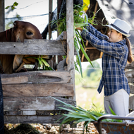 From Pasture to Pill: Introducing GrassFed Beef Thyroid—Your Health Ally!