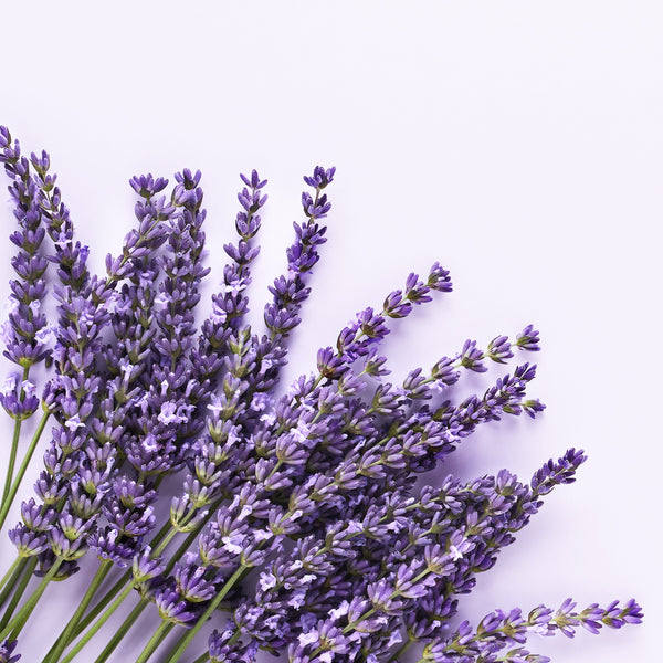 Ward Off Negative Energy with These 3 Uplifting Essential Oils