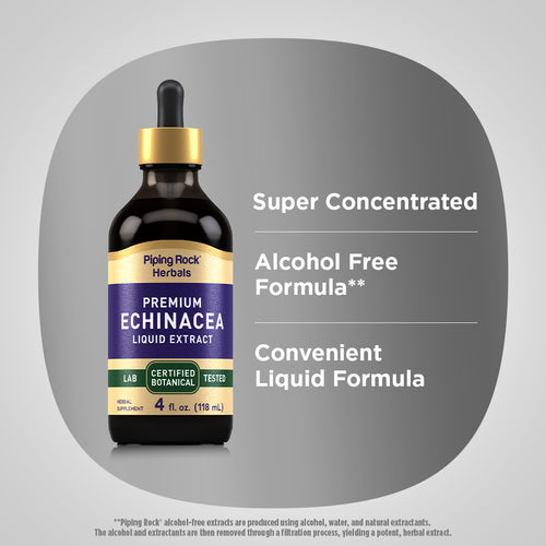 Echinacea Liquid Extract Alcohol Free, 4 fl oz (118 mL) Dropper Bottle Benefits