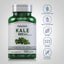 Kale, 800 mg, 120 Quick Release Capsules Dietary Attributes