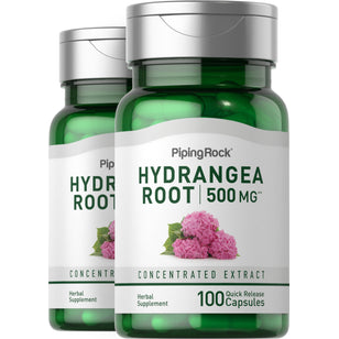 Hydrangea Root, 500 mg, 100 Quick Release Capsules, 2  Bottles