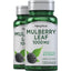 Mulberry Leaf, 1000 mg, 120 Quick Release Capsules, 2  Bottles