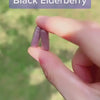 Elderberry Sambucus, 2000 mg (per serving), 180 Quick Release Capsules Video