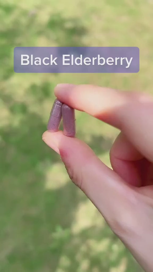 Elderberry Sambucus, 2000 mg (per serving), 180 Quick Release Capsules Video