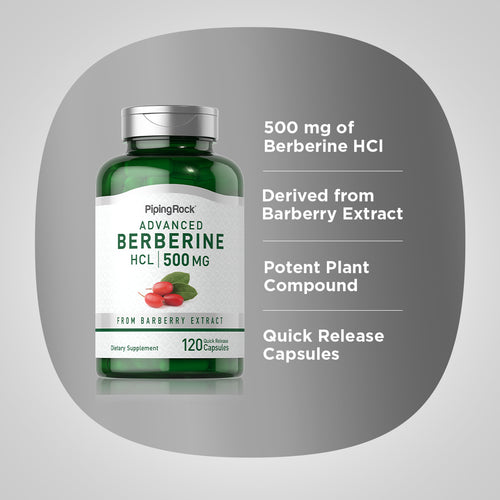 Berberine HCL 500 mg 120 Quick Release Capsules Benefits