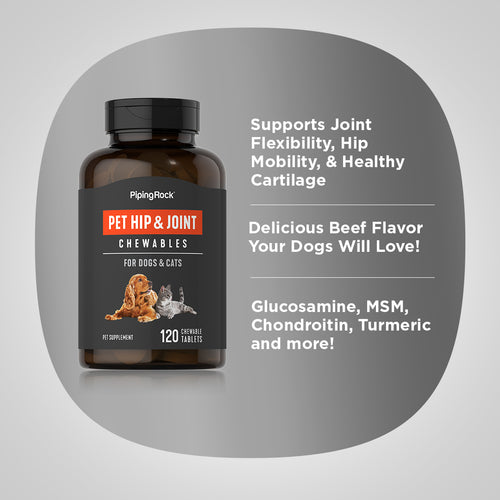 Hip & Joint for Dogs & Cats, 120 Chewable Tablets Benefits