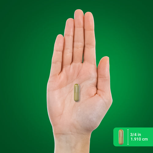 Horsetail, 800 mg, 180 Quick Release Capsules -BulkImage