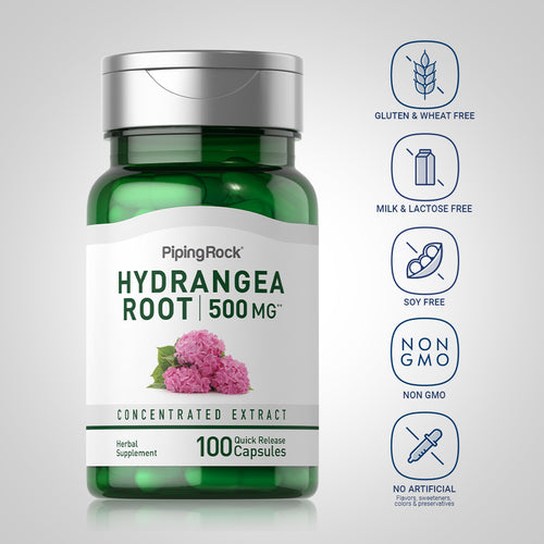 Hydrangea Root, 500 mg, 100 Quick Release Capsules -Dietary Attribute