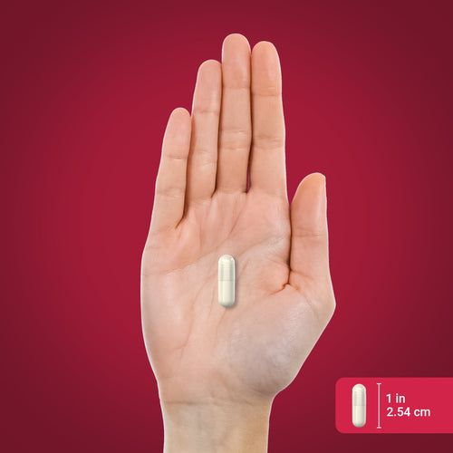 แอล-ทริปโตเฟน  1500 mg (ต่อการเสิร์ฟ) 90 แคปซูลแบบปล่อยตัวยาเร็ว     