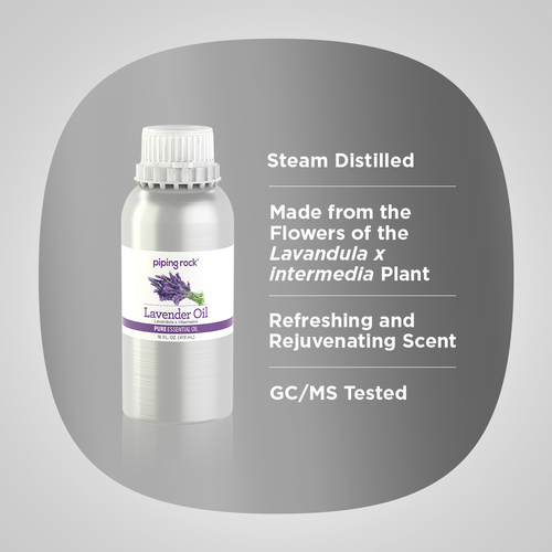 Lavender Pure Essential Oil (GCMS Tested) 16 fl oz (473 mL) Canister Benefits