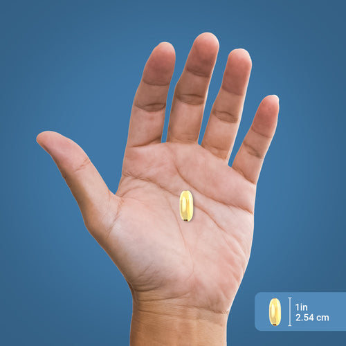 Omega-3 visolie citroensmaak 1200 mg 240 Snel afgevende softgels     