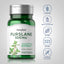 Purslane, 500 mg, 100 Quick Release Capsules-Dietary Attribute