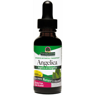 Angelica Root Liquid Extract, 1 fl oz (30 mL) Dropper Bottle
