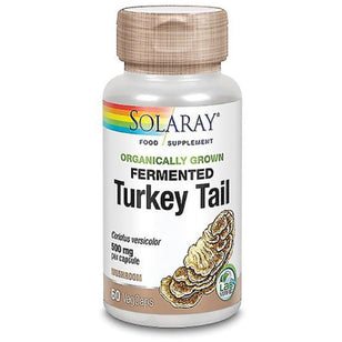 Fermented Turkey Tail, 500 mg, 60 Vegetarian Capsules