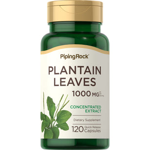 Plantain Leaves, 1000 mg (per serving), 120 Quick Release Capsules